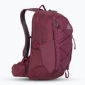 Рюкзак туристичний Gregory Kiro 22 l amethyst purple 2