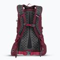 Рюкзак туристичний Gregory Kiro 22 l amethyst purple 3