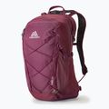 Рюкзак туристичний Gregory Kiro 22 l amethyst purple 6