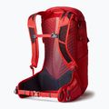 Рюкзак туристичний чоловічий Gregory Miko 30 l червоний 145277 7