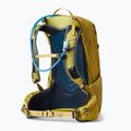 Рюкзак туристичний жіночий Gregory Juno 24 l жовтий 141341 6