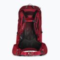 Рюкзак туристичний жіночий Gregory Jade 33 l червоний 145653 2