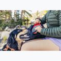 Рюкзак туристичний Gregory Nano 30 л bright navy 7
