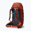 Дитячий туристичний рюкзак Gregory Wander 50 l Redrock 2