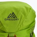 Рюкзак для скелелазіння Gregory Alpinisto 35 l зелений 02J*04041 5