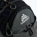 Рюкзак туристичний Gregory Miwok 12 l сірий 111479 4