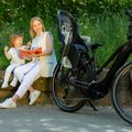 Крісло велосипедне Polisport Guppy Maxi+ CFS dark grey/silver 10