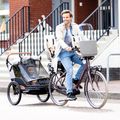 Причіп велосипедний bobike Moobe grey 16