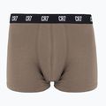 Труси чоловічі CR7 Basic Trunk 5 пар 2414 multicolur 3