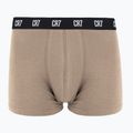 Труси чоловічі CR7 Basic Trunk 5 пар 2414 multicolur 5