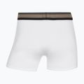 Боксерки чоловічі CR7 Fashion Trunk 5 pairs multicolour 10