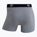Боксерки чоловічі CR7 Basic Trunk 7 by 2820 multicolor 14