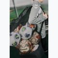 Мішок для м'ячів Hummel Core Ball black 7