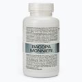 Bacopa Monnieri 7Nutrition 550г пам'ять та концентрація 60 капсул 7Nu000426 2