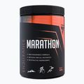 Передтренувальний комплекс Trec Endu Marathon 400g лісові фрукти TRE/915