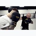 Рукавиці боксерські StormCloud Boxing Pro black/gold 12