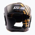 Боксерський шолом StormCloud Lynx black/gold