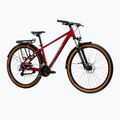 Велосипед гірський KROSS Hexagon X200 EQ 29" бордовий/графіт/глянець 2