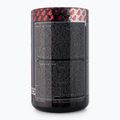 Передтренувальний комплекс Real Pharm Terminator 500g виноград 715029 3