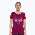 Футболка термічна жіноча Brubeck Outdoor Merino Wool Pro SS plum/mountain 3