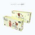Біговел Kinderkraft Rapid 2 савана зелений 9