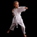 Кімоно для карате з поясом дитяче BX BUSHIDO ARK-3102 біле 15