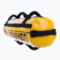 Power Bag DBX BUSHIDO 10 кг жовтий Pb10 3