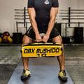 Power Bag DBX BUSHIDO 10 кг жовтий Pb10 8