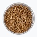 Сублімовані продукти харчування LYOFOOD Каша (просо) на кокосовому напої 210 г 3