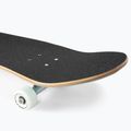 Скейтборд класичний Fish Skateboards Sprats 7