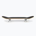 Скейтборд класичний Fish Skateboards Zack Beginner 8.0' 2