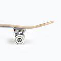 Скейтборд класичний Fish Skateboards Zack Beginner 8.0' 12