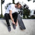Скейтборд класичний Fish Skateboards Mason Beginner 8.0” 9