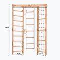 Драбинка гімнастична Rinagym SPR Corner natural 2