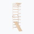 Драбина гімнастична RINAGYM SPR C+SLIDE 2