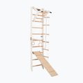 Драбина гімнастична RINAGYM SPR A+SLIDE 3