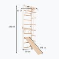 Драбина гімнастична RINAGYM SPR A+SLIDE 6
