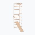 Драбина гімнастична RINAGYM SPR B+SLIDE 3
