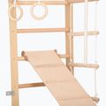 Драбина гімнастична RINAGYM SPR B+SLIDE 5