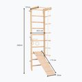 Драбина гімнастична RINAGYM SPR B+SLIDE 6