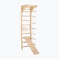 Драбина гімнастична RINAGYM SPR C+SLIDE 3