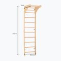 Драбина гімнастична RINAGYM SPR C Pure 5