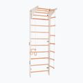 Драбинка гімнастична RINAGYM Pro 2 white 3