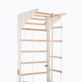Драбинка гімнастична RINAGYM Pro 2 white 5