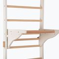 Драбинка гімнастична RINAGYM Pro 2 white 6