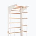Драбинка гімнастична RINAGYM Pro 3 white 5
