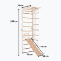 Драбинка гімнастична RINAGYM Pro 3 white 6