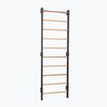 Драбинка гімнастична RINAGYM Steel 1 graphit 2