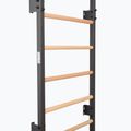 Драбинка гімнастична RINAGYM Steel 1 graphit 3