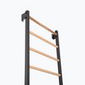 Драбинка гімнастична RINAGYM Steel 1 graphit 5